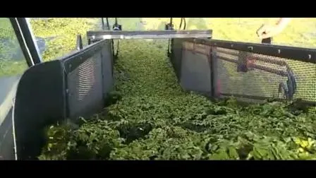 3,5 toneladas 4 toneladas 5 toneladas 4X4 4WD Mini diésel/carretilla elevadora eléctrica totalmente hidráulica Carretilla elevadora todoterreno Carretilla elevadora todoterreno Euro 5 Precio EPA 50% de descuento Envío gratuito